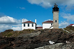 Beavertail Lighthouse LH21016